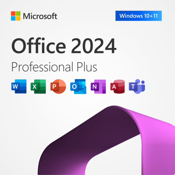 Office 2024 Professional Plus – Lifetime License – Codigi.us